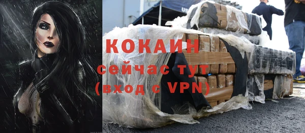 mdpv Горно-Алтайск