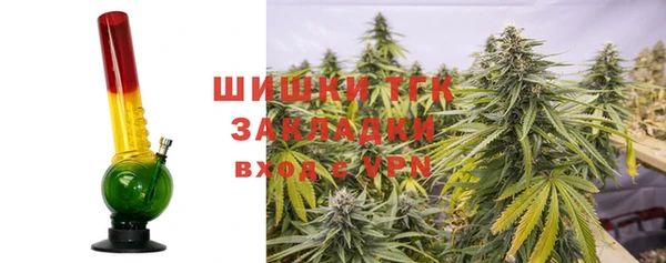 mdpv Горно-Алтайск