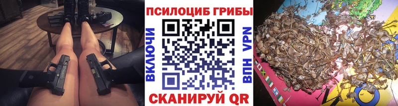 Псилоцибиновые грибы Psilocybine cubensis  мега ССЫЛКА  Зима 