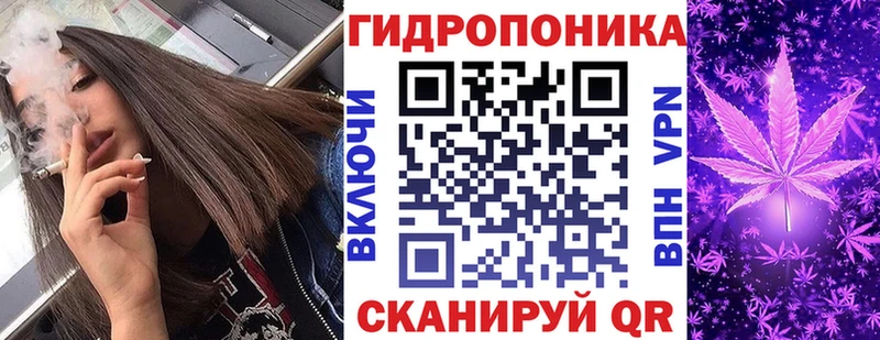 даркнет сайт  Зима  Канабис марихуана 